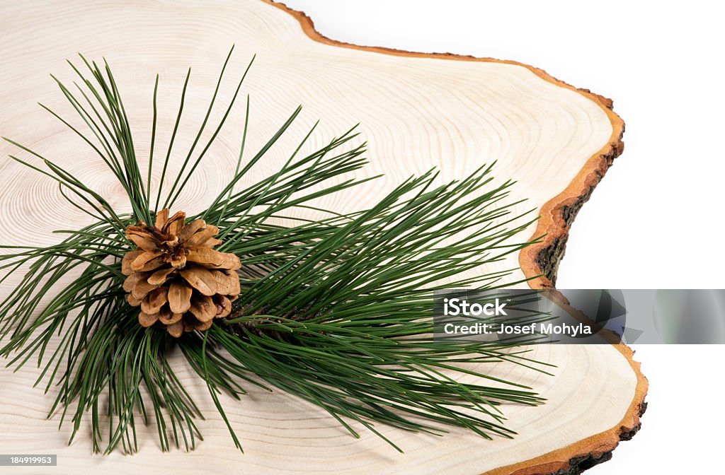 Sfondo di Natale Pino - Foto stock royalty-free di Albero