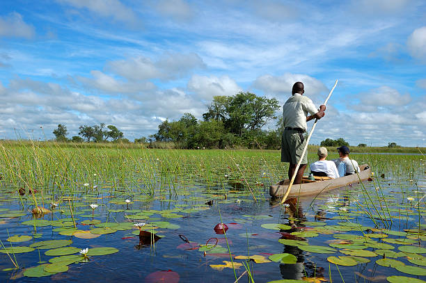Mokoro "photo was taken on a half day trip in Okavango Delta Botswana, the Delta is the biggest sweatwater reservoir in this area and the water is absolutely clean, summer time is green season with low water, the mokoro are fiberglass replicas of dug out canoes, is easier to build than a genuine dugout, silence there is amazing" botswana photos stock pictures, royalty-free photos & images
