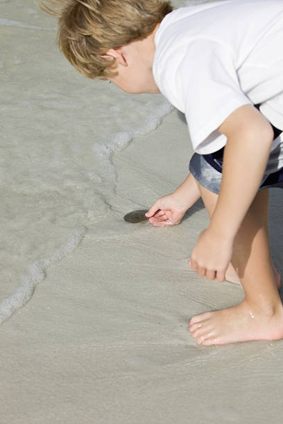 istock Boy Holding a Sand Dollar in Ocean Surf 184920497
