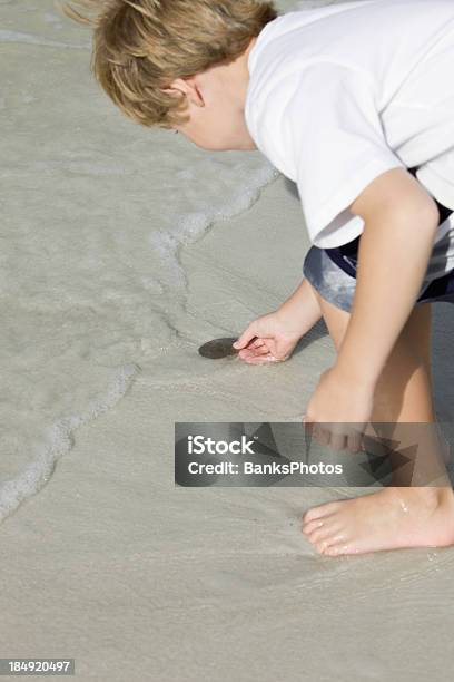 Chłopiec Trzyma Dolar Piaskowy W Ocean Surfowanie - zdjęcia stockowe i więcej obrazów Dotykać - Dotykać, Pofałdowany, 6-7 lat