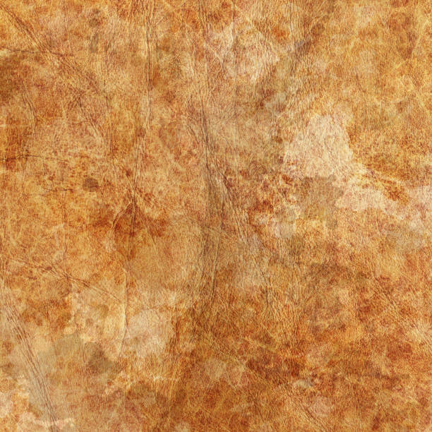 istock High Resolution Animal Skin Parchment Wizened Mottled Grunge Texture 184921006