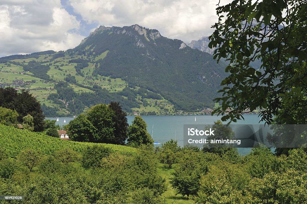 Vista panoramica di Spiez - Foto stock royalty-free di Spiez