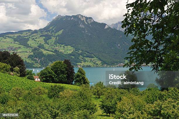 Vista Panoramica Di Spiez - Fotografie stock e altre immagini di Spiez - Spiez, Acqua, Albero