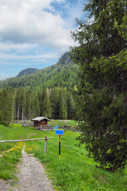 landscape with a road in the Dolomites Italy