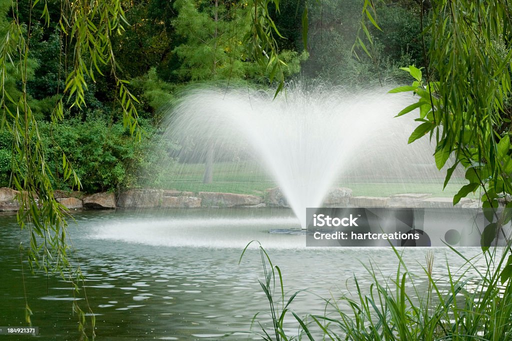 Fontaine dans le jardin - Photo de Arbre libre de droits