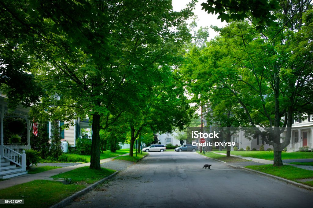 Petite ville, États-Unis - Photo de Boulevard libre de droits