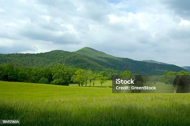 Photo libre de droit de Cades Cove Dans Le Parc National Des Great Smoky Mountains banque d'images et plus d'images libres de droit de Parc National des Great Smoky Mountains