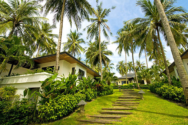 роскошь и экзотический вилла в тропиках - hawaii islands tropical climate mountain residential structure стоковые фото и изображения