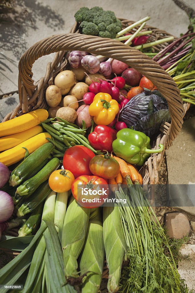 Korb mit frischem Gemüse Harvest von zu Hause Garten, Vt - Lizenzfrei Blaukraut Stock-Foto