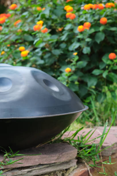 istock handpan or hang in the garden 1849220395