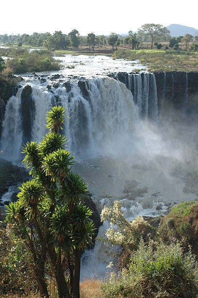 istock Blue Nile falls, Ethiopia 184922231