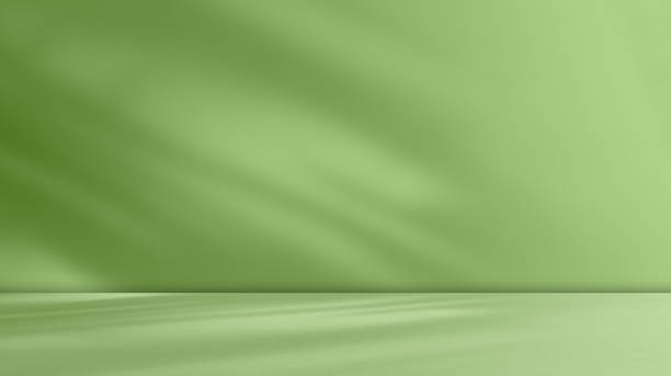 緑の3D背景スタジオBGルーム表彰台空ステージ製品壁床パターンキッチン棚モックアップテーブル化粧品秋テンプレートモックアップ大理石テンプレートプレゼンテーション影葉オーバーレイ