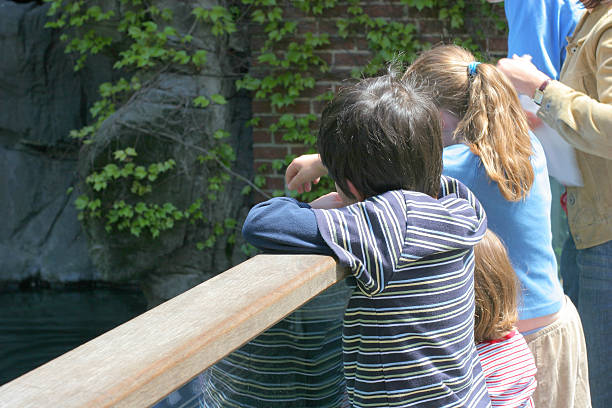 Two cute little girls hang on the railings in the park summer pond. Concept of active childhood outdoors