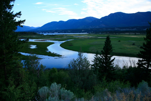 Wetlands in East Kootenays. Summer evening. Columbia River and Columbia Lake. Near Fairmont Hot Springs BC.