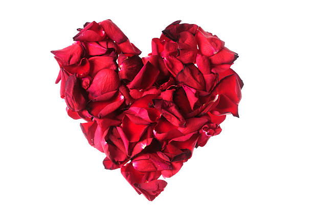 istock Heart shape made of rose petals 184924280
