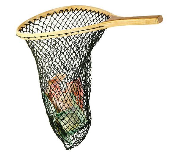 istock Fishing Net With Canadian Money 184924323