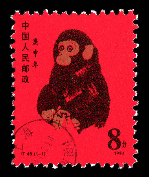 Year of the Monkey China postage stamp: 1980,Lunar Year of the Monkey.The Monkey (猴), is one of the 12-year cycle of animals which appear in the Chinese zodiac. chinese postage stamp stock pictures, royalty-free photos & images