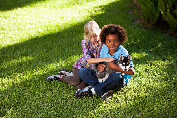 istock Multiracial children holding husky puppy 184925305