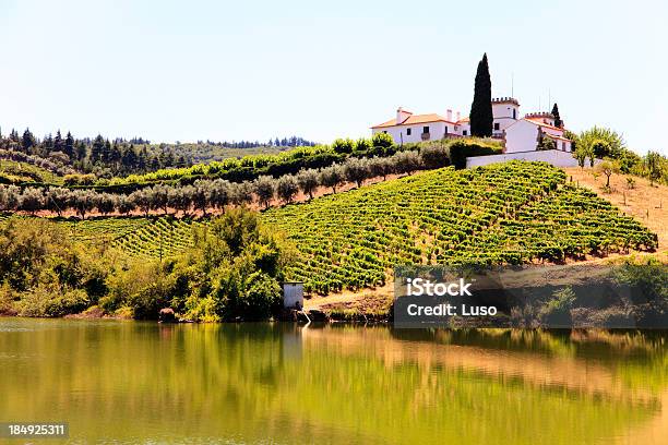 Douro Slopes Stock Photo - Download Image Now - Vineyard, Douro River, Portugal