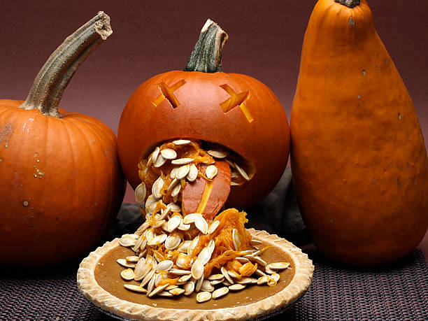 Sick Jack-0-Lantern "Pumpkin sickened by pumpkin pie. Could represent poor quality frozen pie, cannibalism or just funny." pumpkin throwing up stock pictures, royalty-free photos & images