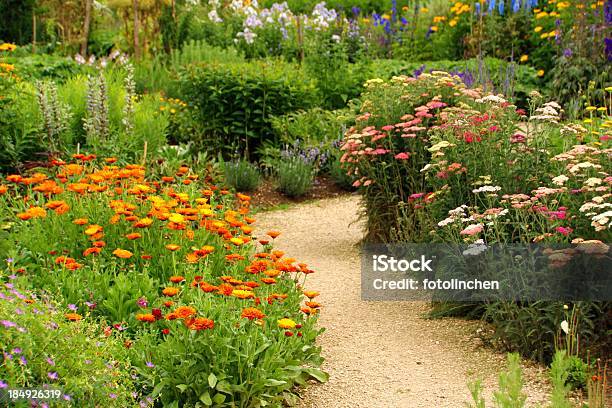 Kräuter Und Blumen Garten Stockfoto und mehr Bilder von Hausgarten - Hausgarten, Gartenweg, Blume