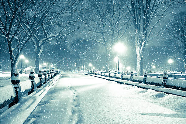 central park à noite durante a tempestade de neve - snow winter bench park imagens e fotografias de stock
