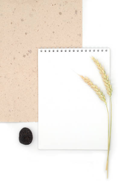 istock Kraft leaf on white background and blank notepad with sprigs of wheat spikelets, top view, flat lay 1849268515