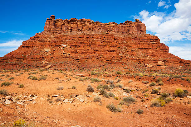 istock Red Rock Formations Valley of the Gods 184927017
