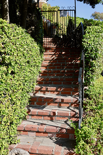 Curved brick steps winding through the garden