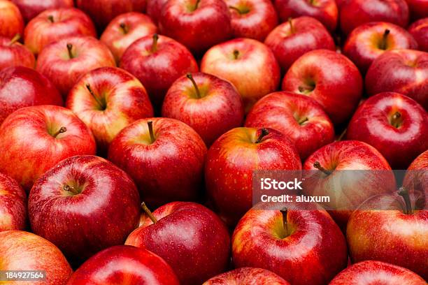 Nahaufnahme Von Roten Äpfeln Royal Gala Stockfoto und mehr Bilder von Apfel - Apfel, Rot, Obst