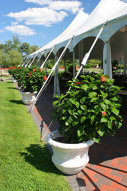 Special Event Large White Tent  knot garden stock pictures, royalty-free photos & images