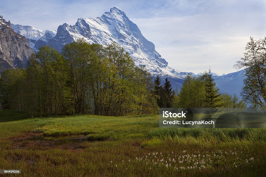 Frühling in den Bergen - Lizenzfrei Alpen Stock-Foto