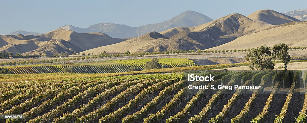 아름다운 와인 컨트리 - 로열티 프리 캘리포니아 스톡 사진