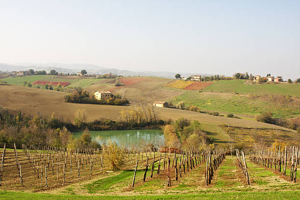 paysage d'automne en lambrusco région. castelvetro de modena. l'italie. - lambrusco photos et images de collection