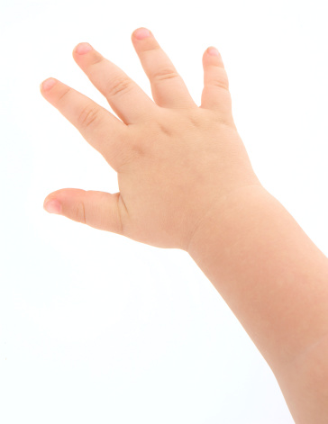16 month old's hand