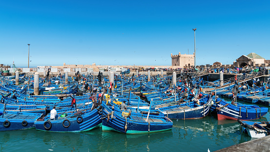 Essaouira, Morocco - 17 September 2022: Traditional blue fishing boats docked in port of Essaouira. Fishing boats line the harbor, bringing in the day's catch, while seagulls circle overhead