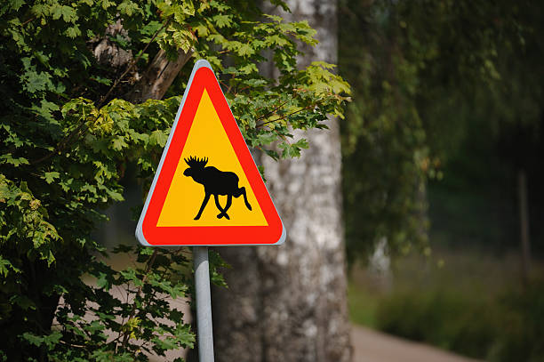 ムース警告標識 - moose crossing sign ストックフォトと画像