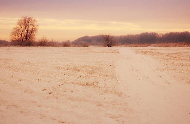 夕暮れのユキコ meadow 冬の風景に havelland （ドイツ） - untere havel ストックフォトと画像