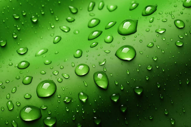 Extreme closeup of  water droplets on green background