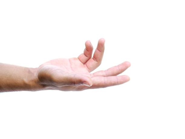 istock Men's hands making gestures like  I'm about to grab something.  or are about to help  Isolated on white background. 1849314302