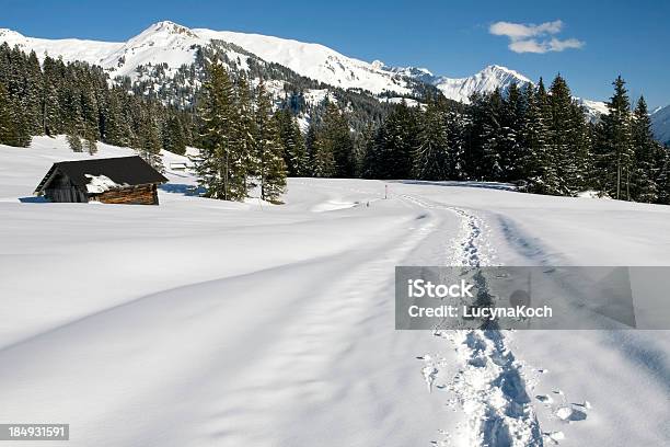 Winter In Den Bergen Stockfoto und mehr Bilder von Alpen - Alpen, Baum, Berg