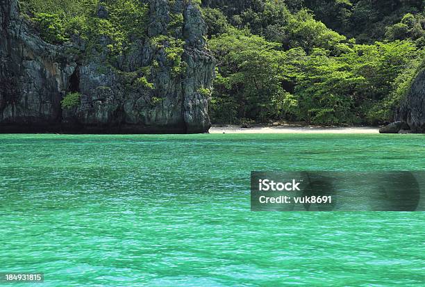 Maya Bay Beach - Fotografie stock e altre immagini di Acqua - Acqua, Albero, Albero tropicale