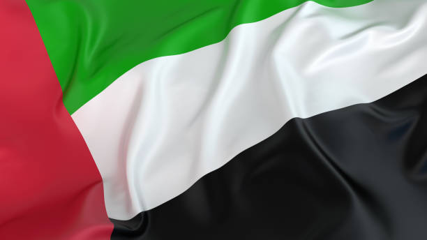 flaga zjednoczonych emiratów arabskich - flag of the united arab emirates zdjęcia i obrazy z banku zdjęć