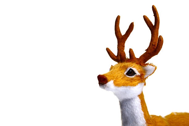 Reindeer Toy reindeer on white background rudolph the red nosed reindeer photos stock pictures, royalty-free photos & images