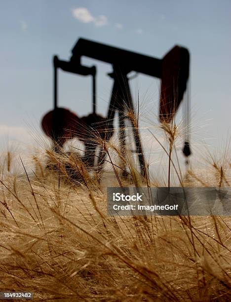 Foto de Pumpjack Silhueta e mais fotos de stock de Agricultura - Agricultura, Alberta, Canadá