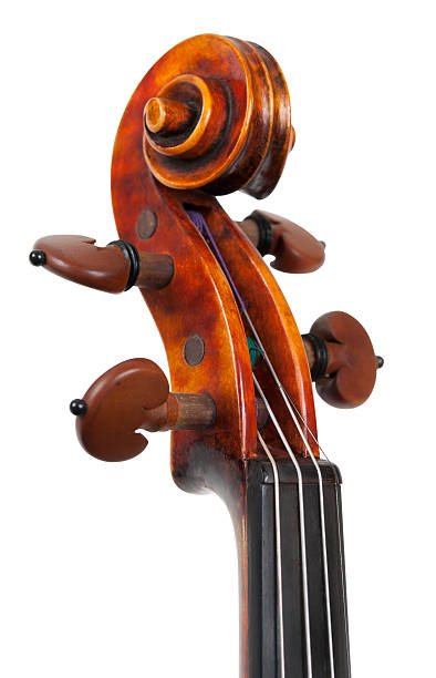 istock Head of the Violin 184932707