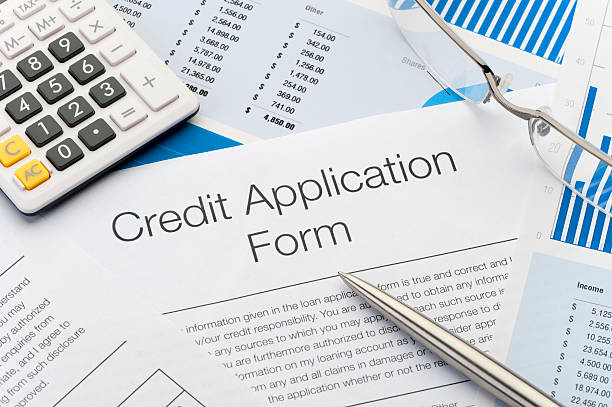 istock Close up of Credit Application Form 184932708