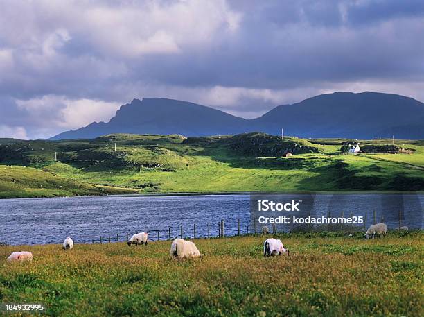 Skye Foto de stock y más banco de imágenes de Isla de Skye - Isla de Skye, Loch Mealt, Agricultura