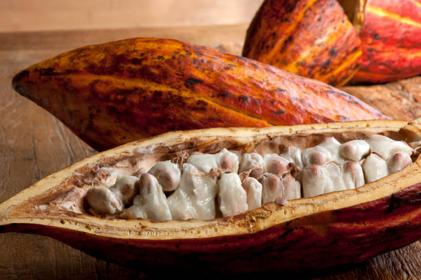 плод какао-foodstuff. - cocoa cocoa bean chocolate brazil стоковые фото и изображения