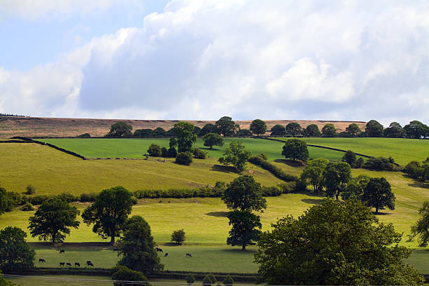 istock Landscape of Peak District 184933386